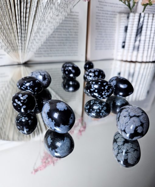 Snieginis obsidianas būgninukas