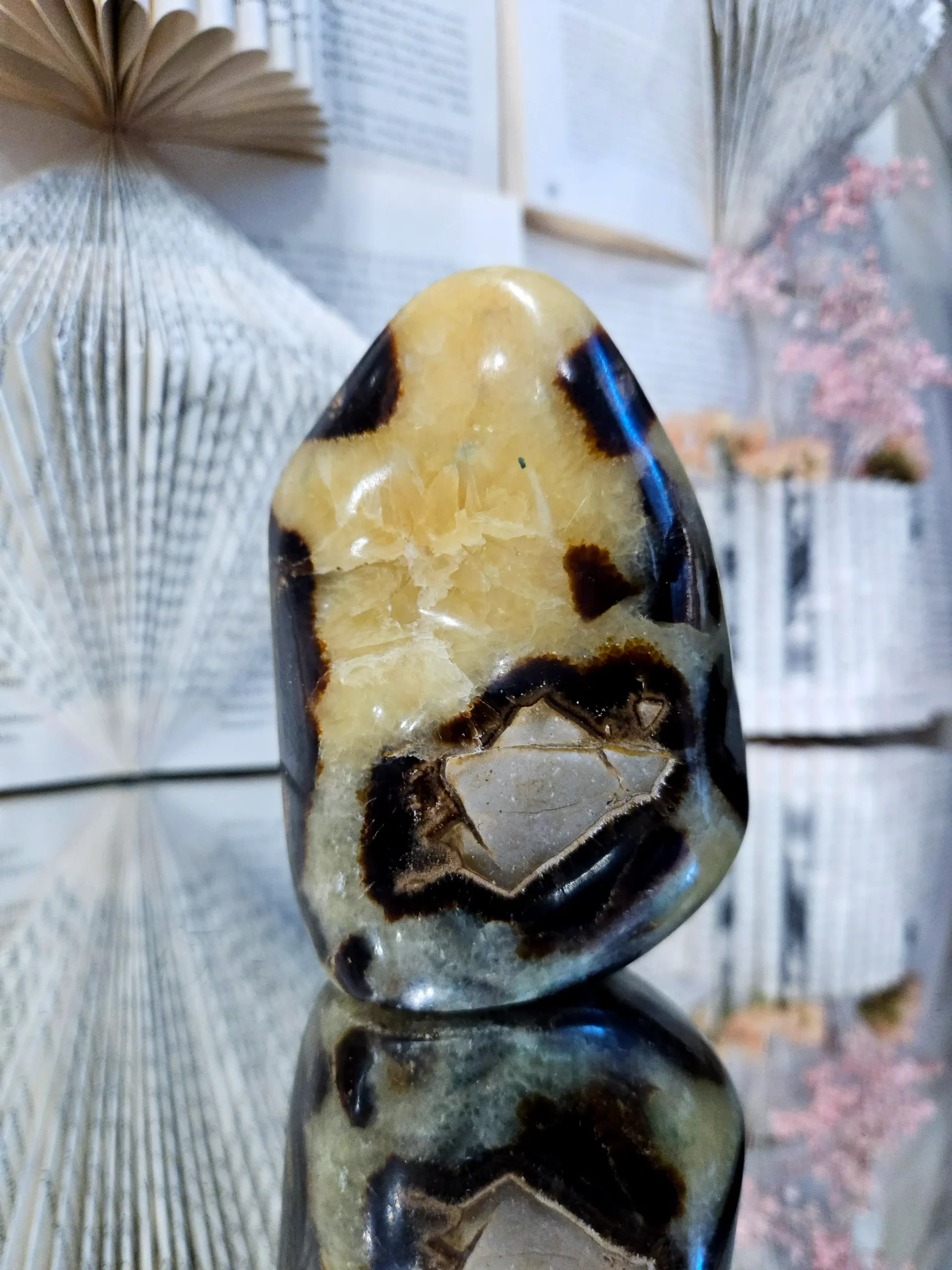 Septarianas 543 gr