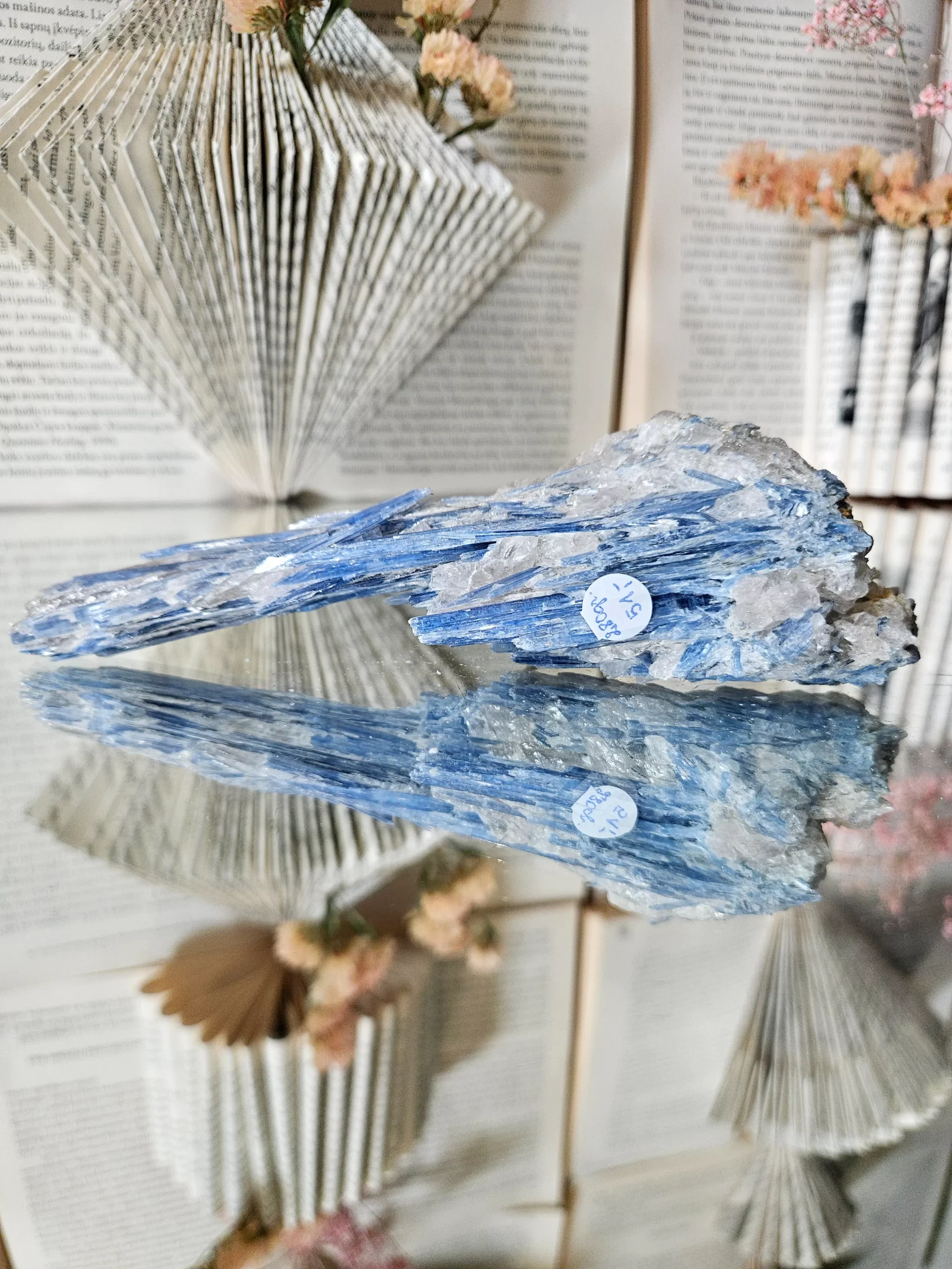 Kianitas 280 gr - Image 2